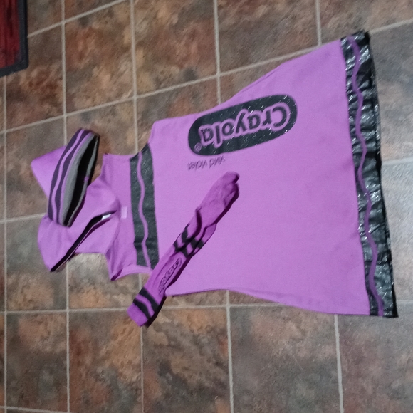 Crayola Other - Crayola Vivid Violet Costume Size:XL